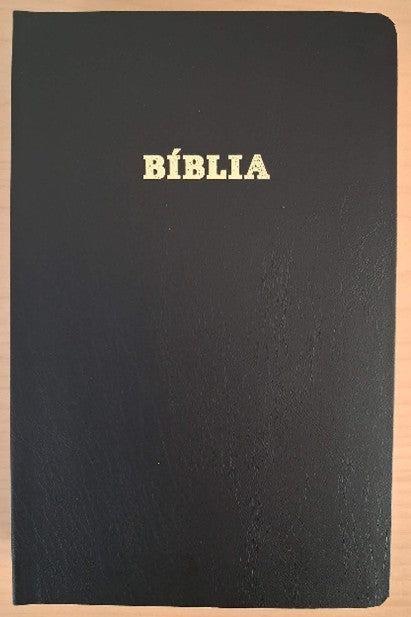 Bíblia, Svart leðurlíki v/gullskurði