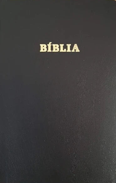 Bíblia, Svart leðurlíki v/gullskurði